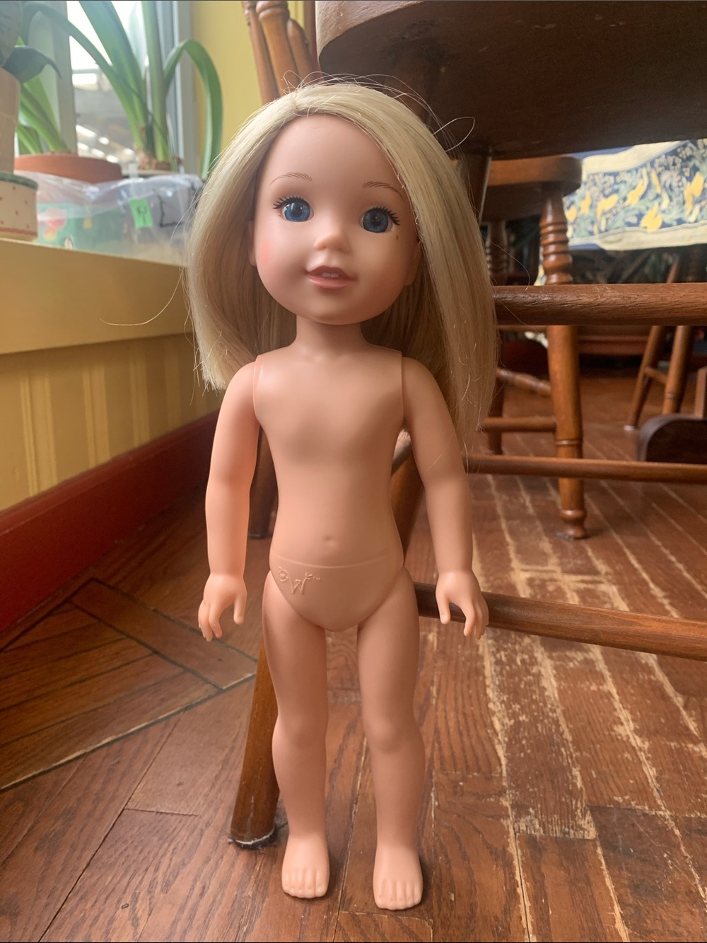 American Girl Wellie Wisher Camille